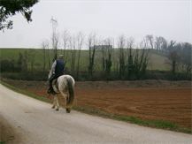 a cavallo